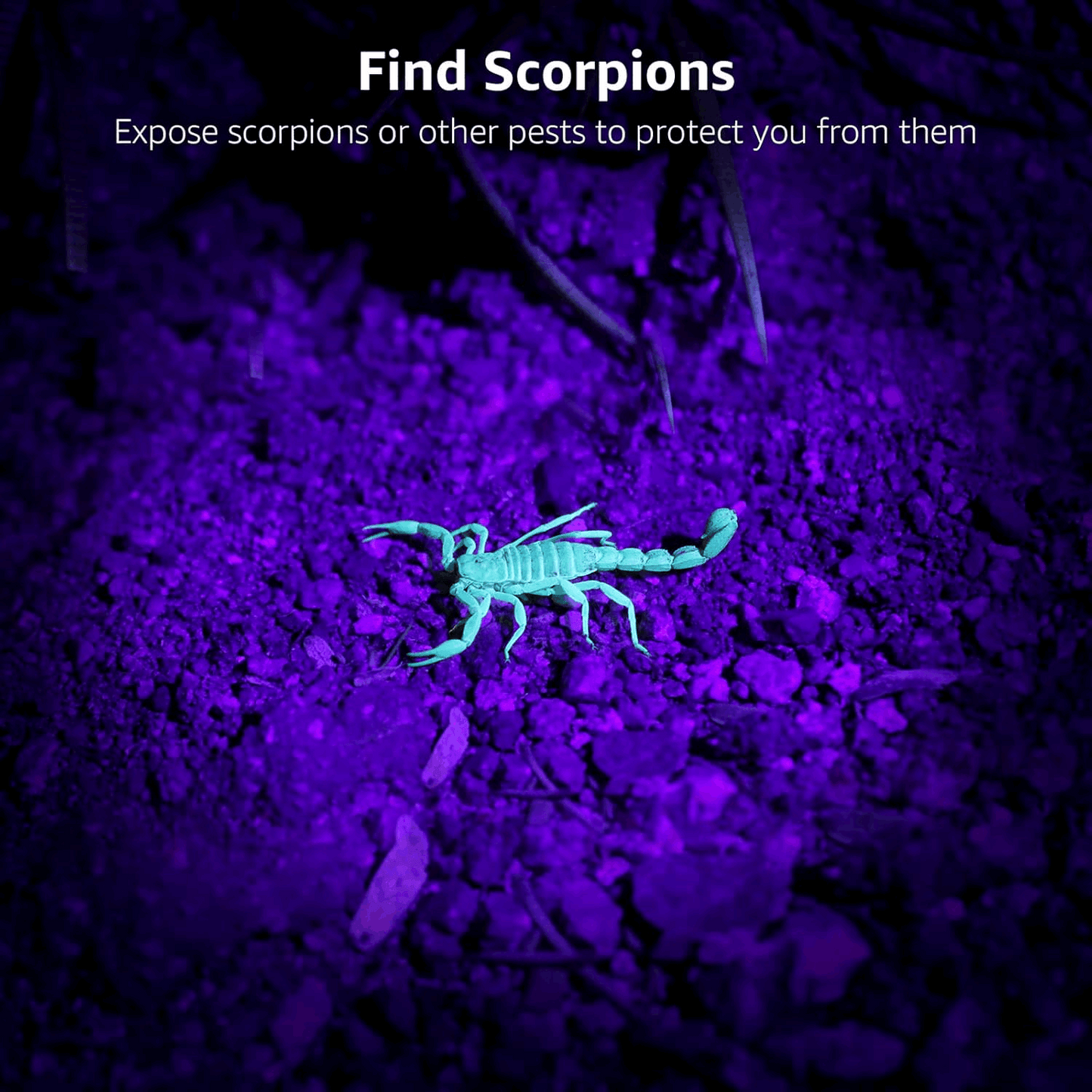 ✨Home Essentials🛡️LED 395nm Flashlight Detector for Dogs, Urine Stains, Bedbugs, and Scorpions
