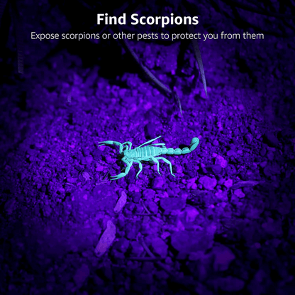 ✨Home Essentials🛡️LED 395nm Flashlight Detector for Dogs, Urine Stains, Bedbugs, and Scorpions